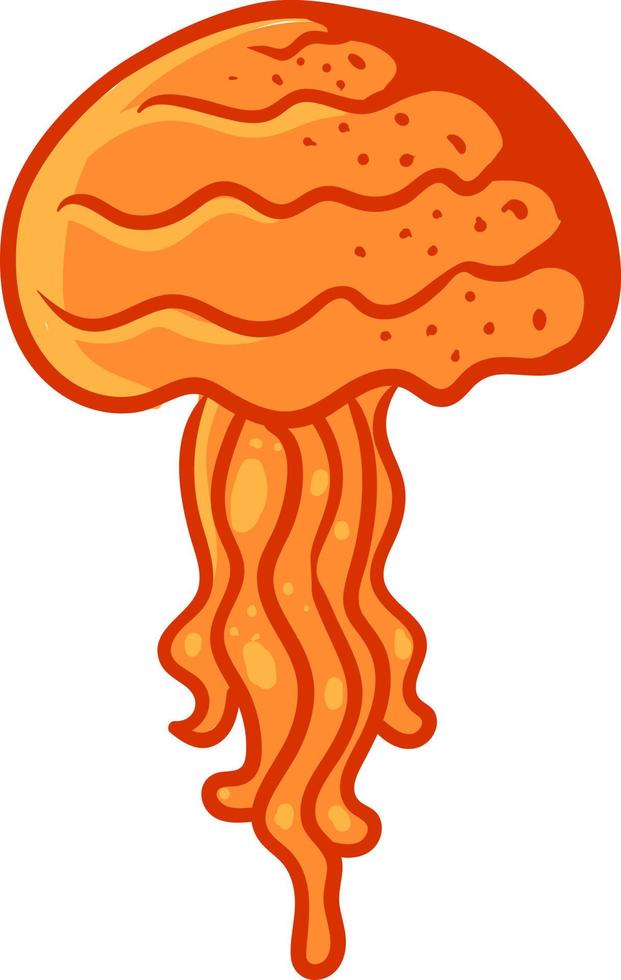 Orange jellyfish , illustration, vector on white background