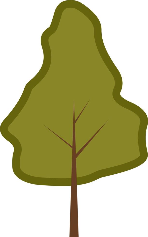 Sessile oak tree, illustration, on a white background. vector