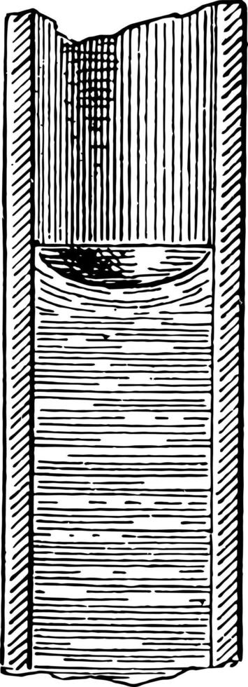 Concave of Meniscus vintage illustration. vector