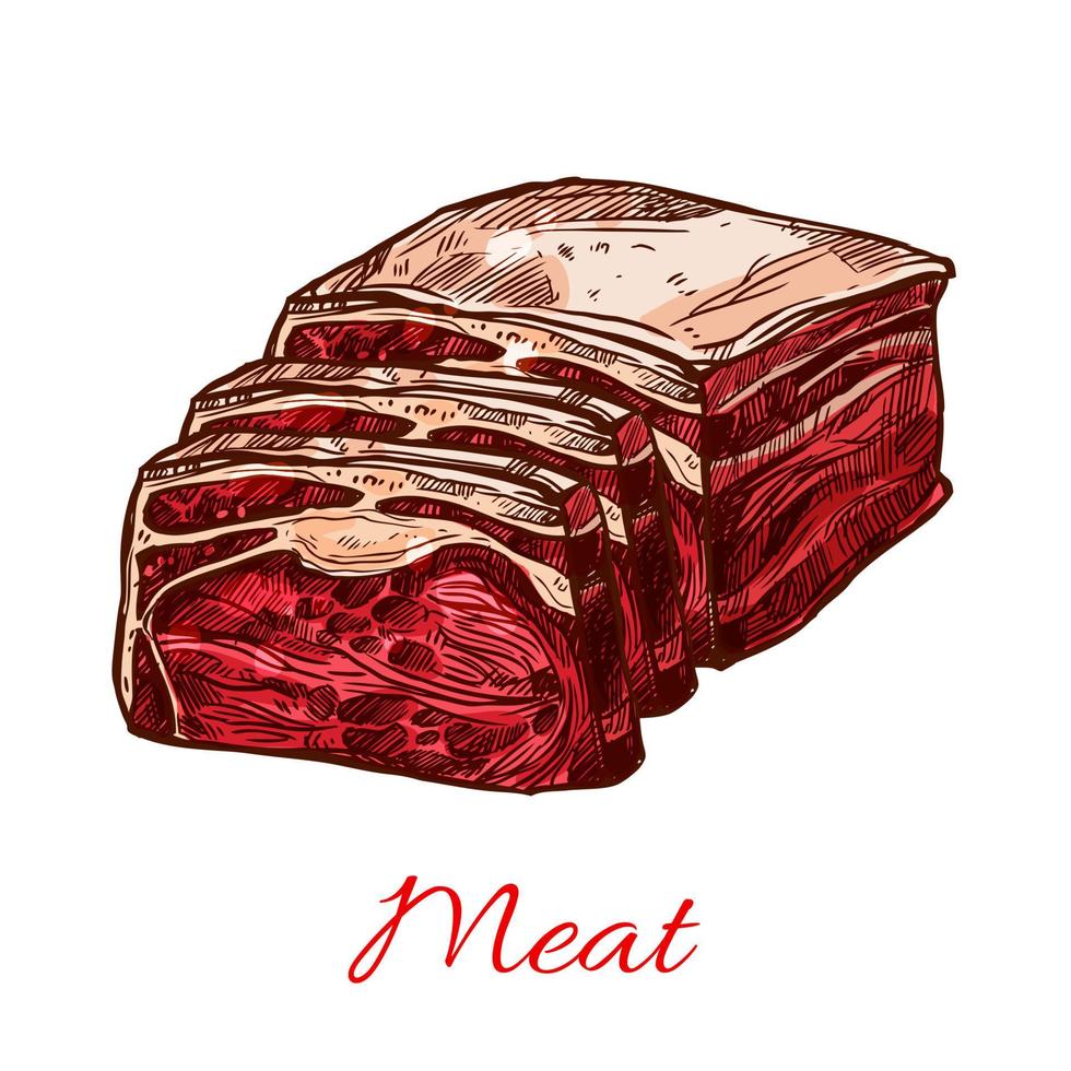 Vector raw fresh butchery meat slice isolated icon