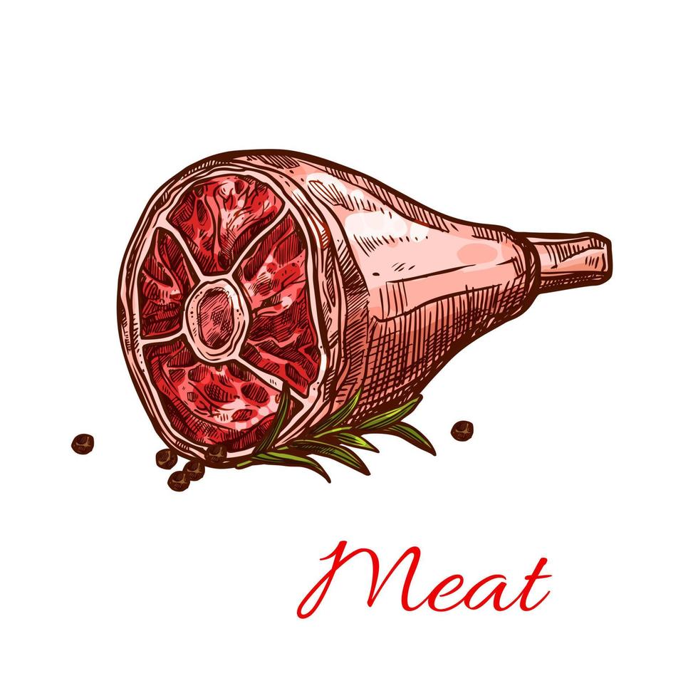 Vector raw fresh hind quarter meat isolated icon