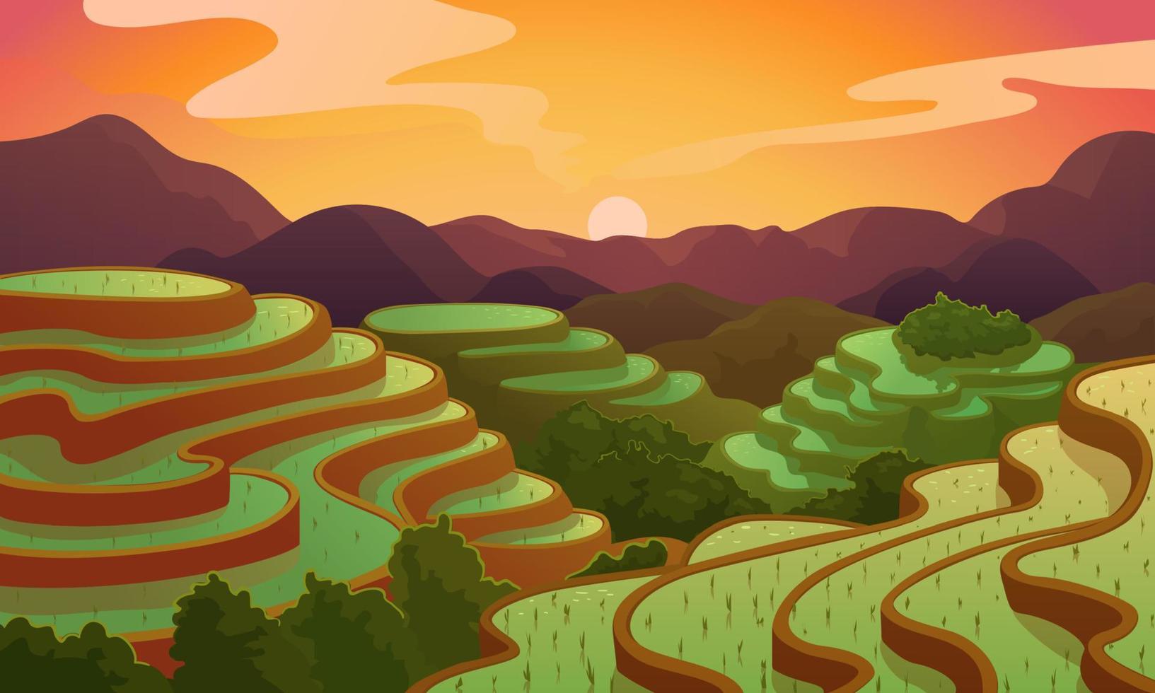 vector paisaje arroz chino campo terraza