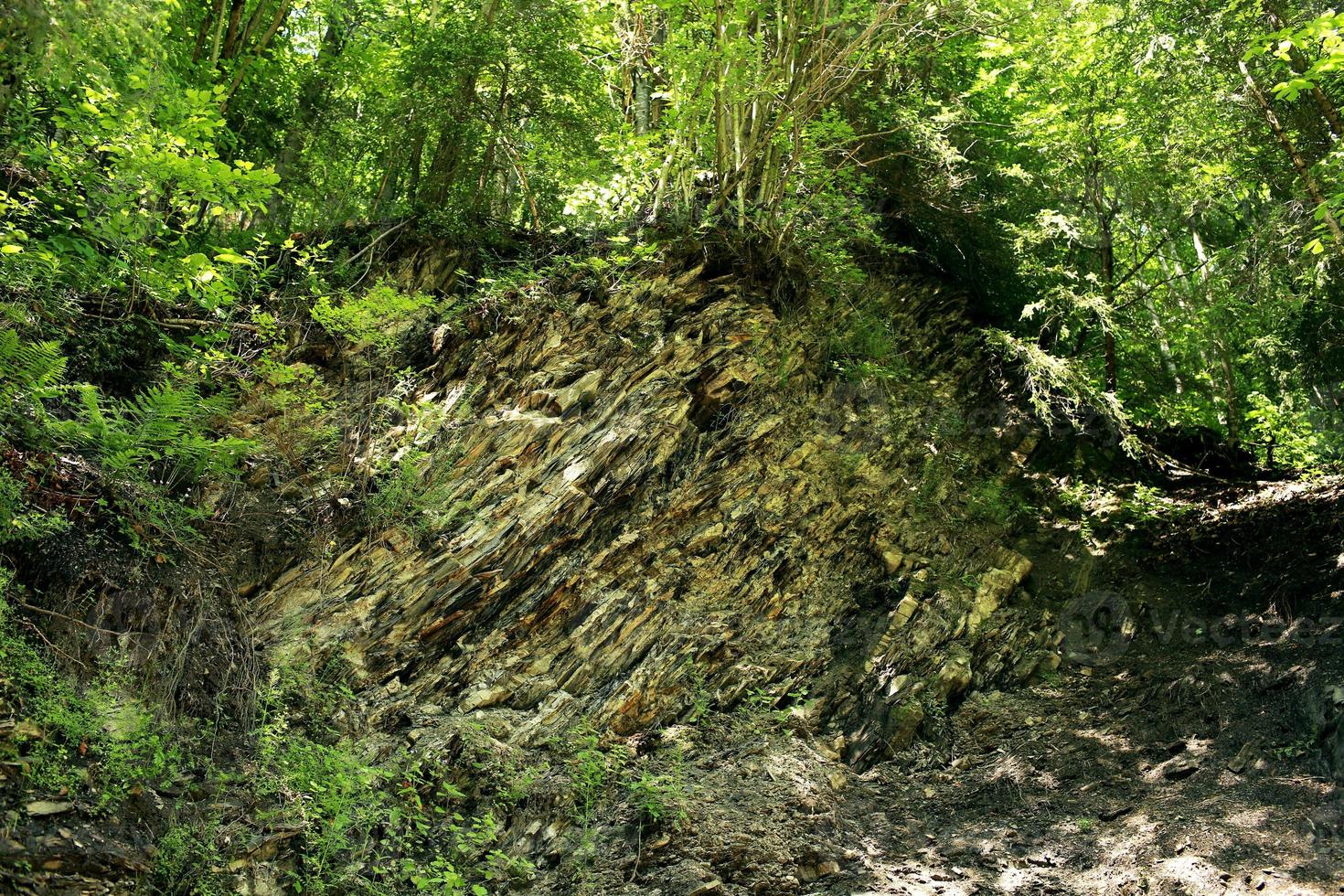 The cliff is a rocky layer with soil and grass. photo