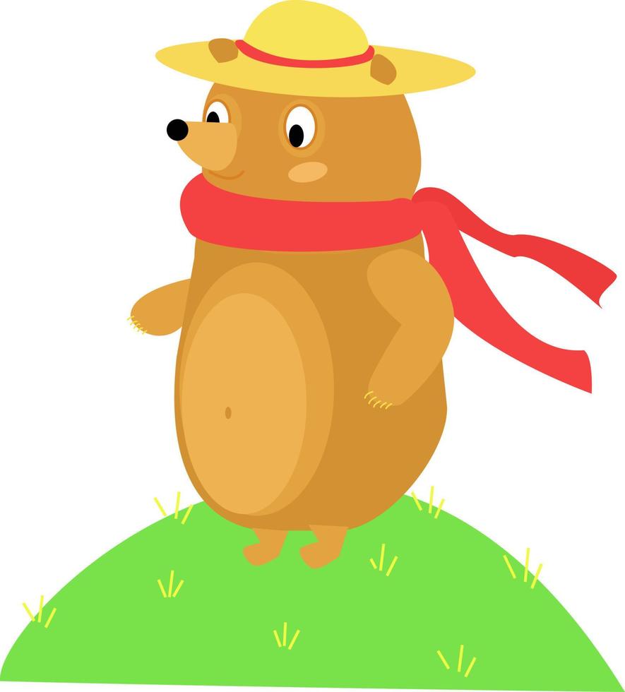 Oso con sombrero, ilustración, vector sobre fondo blanco.