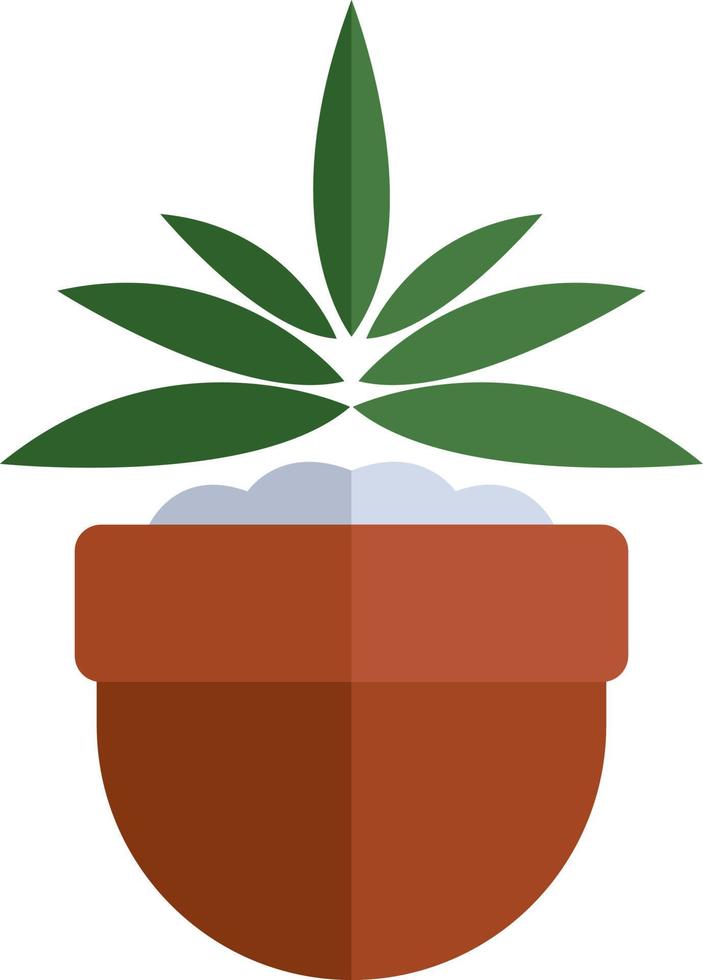 Plant in a pot, illustration, vector on white background.