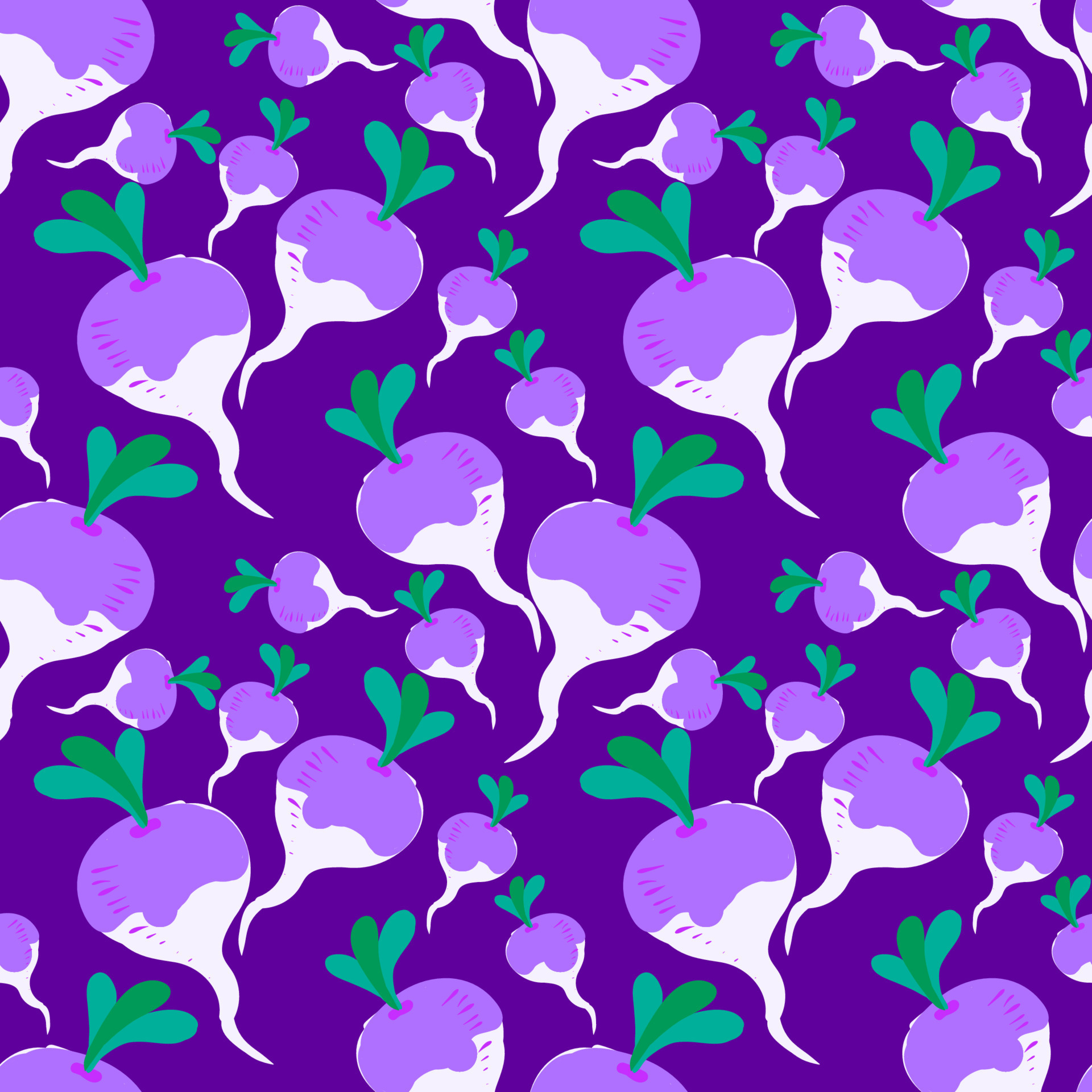 Turnip wallpaper, illustration, vector on white background. 13690385