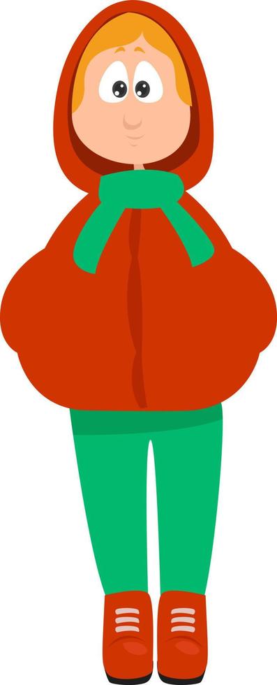 Red jacket with a hood, illustration, vector on a white background.