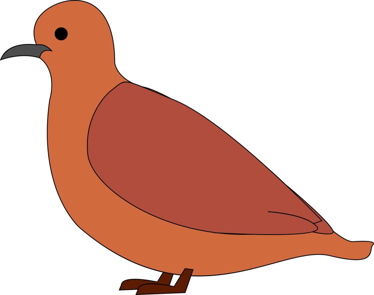 Wild brown pigeon, illustration, vector on white background.