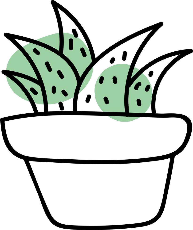 cinco cactus en una olla, ilustración, vector sobre fondo blanco.