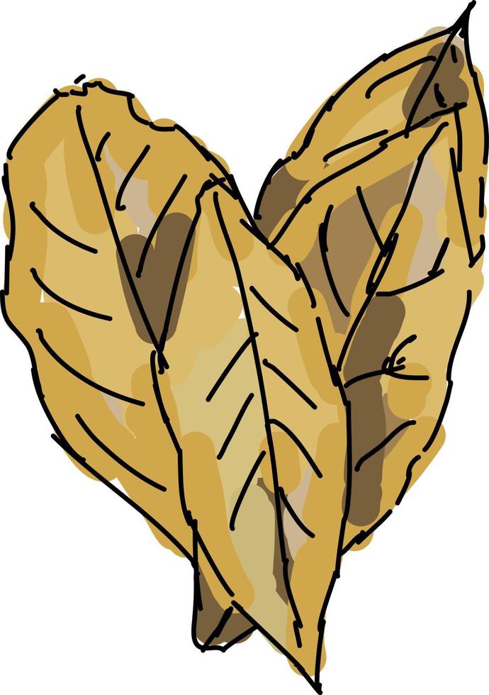 Bay leaves, illustration, vector on white background.