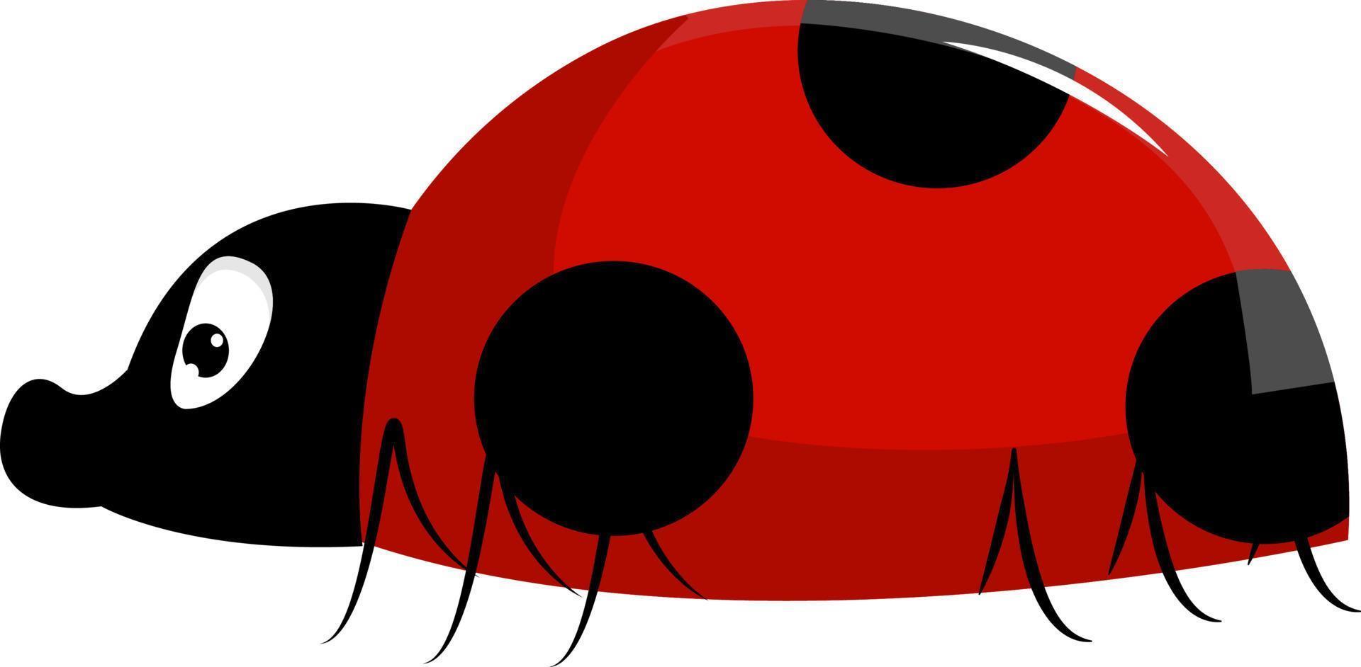 Lady bug, illustration, vector on white background.