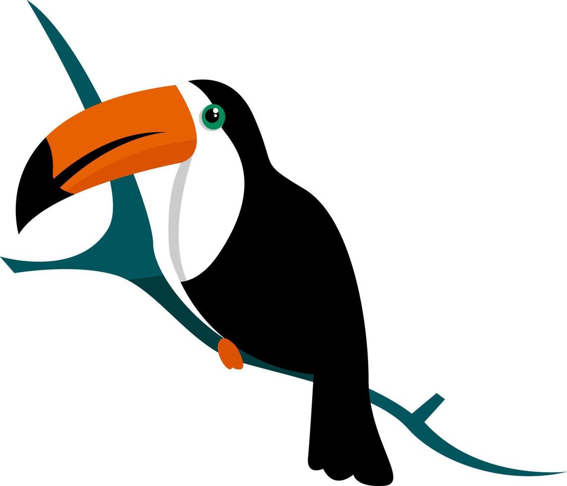 Toucan, illustration, vector on white background.