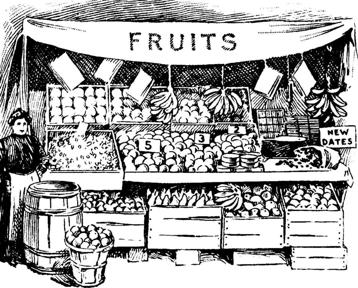 ilustración vintage del mercado de frutas. vector