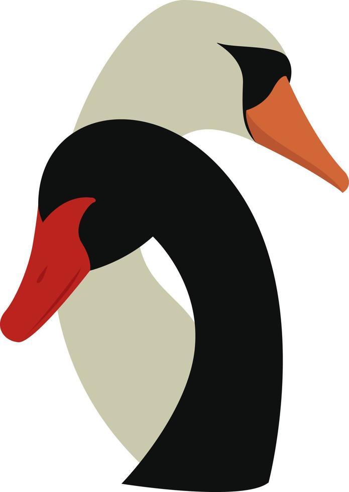 Black and white swan, illustration, vector on white background.