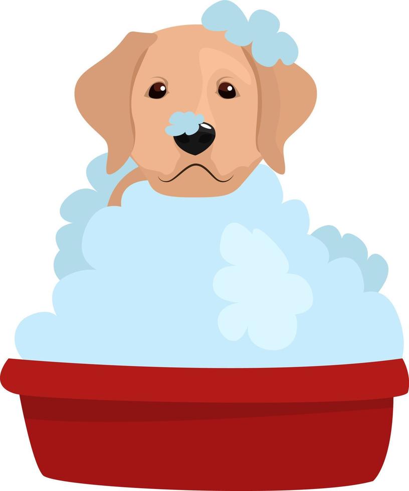 Dog bathing, illustration, vector on white background