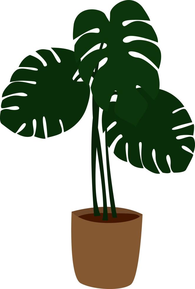 Plant in pot, illustration, vector on white background.