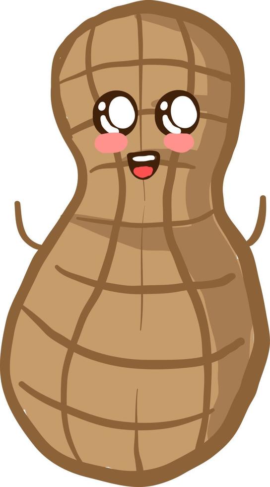 Cute peanut, illustration, vector on white background.
