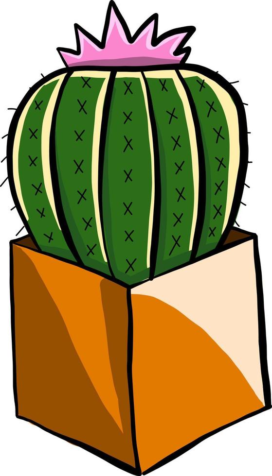 Cactus con flor, ilustración, vector sobre fondo blanco.