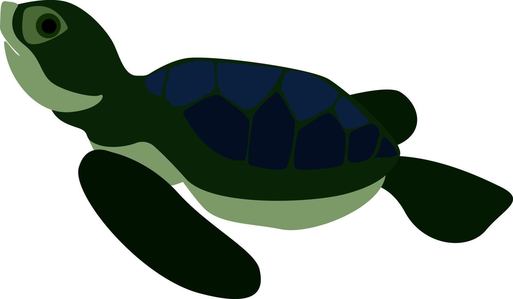 Tortuga verde y azul, ilustración, vector sobre fondo blanco.