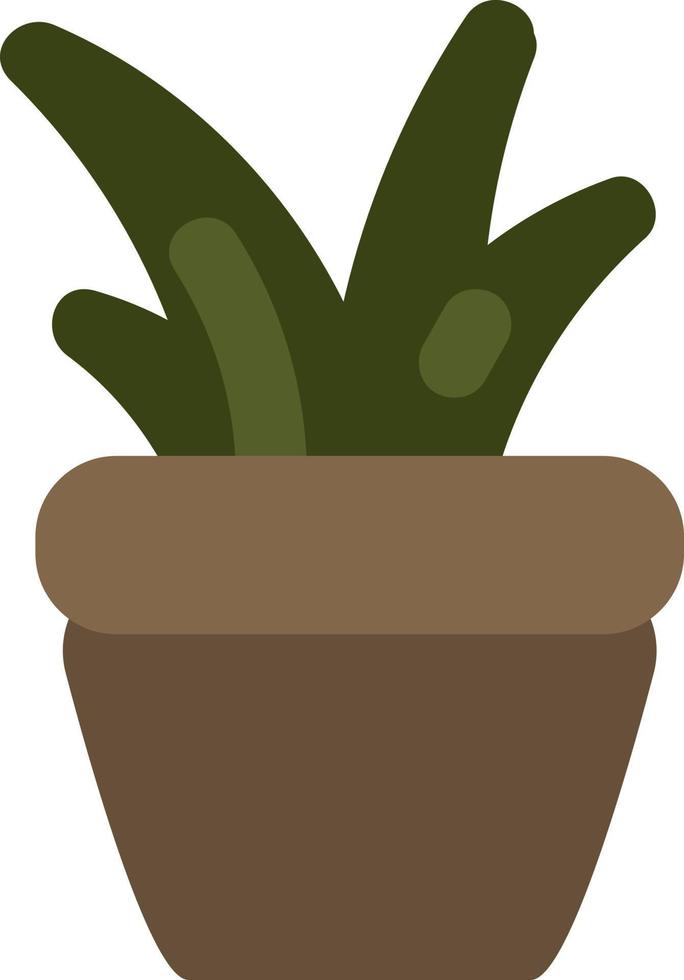 Golden toothed aloe in pot, illustration, on a white background. vector