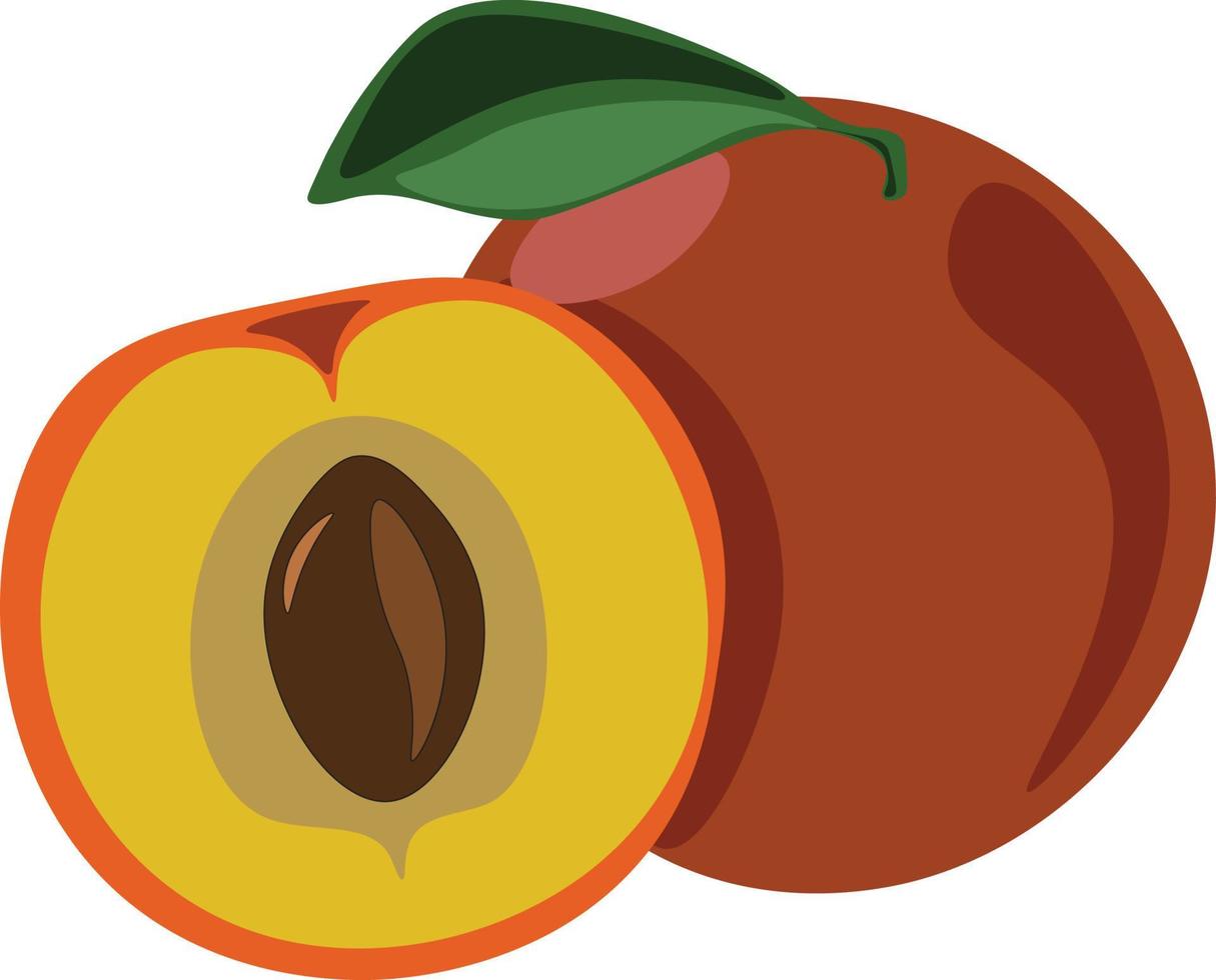 Peach, illustration, vector on white background.