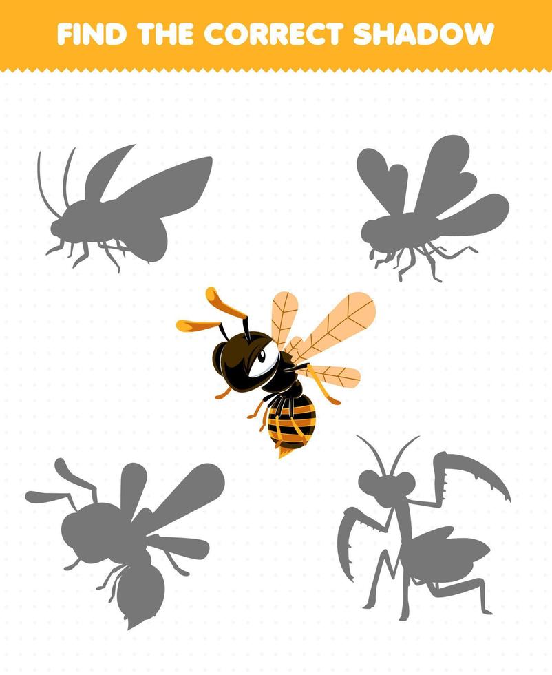 Education game for children find the correct shadow set of cute cartoon bee printable bug worksheet vector