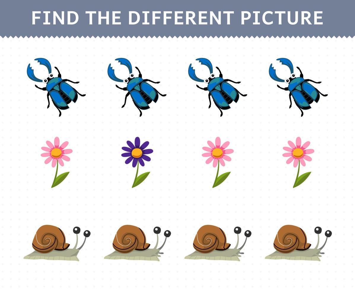 Education game for children find the different picture in each row of cute cartoon beetle flower snail printable bug worksheet vector