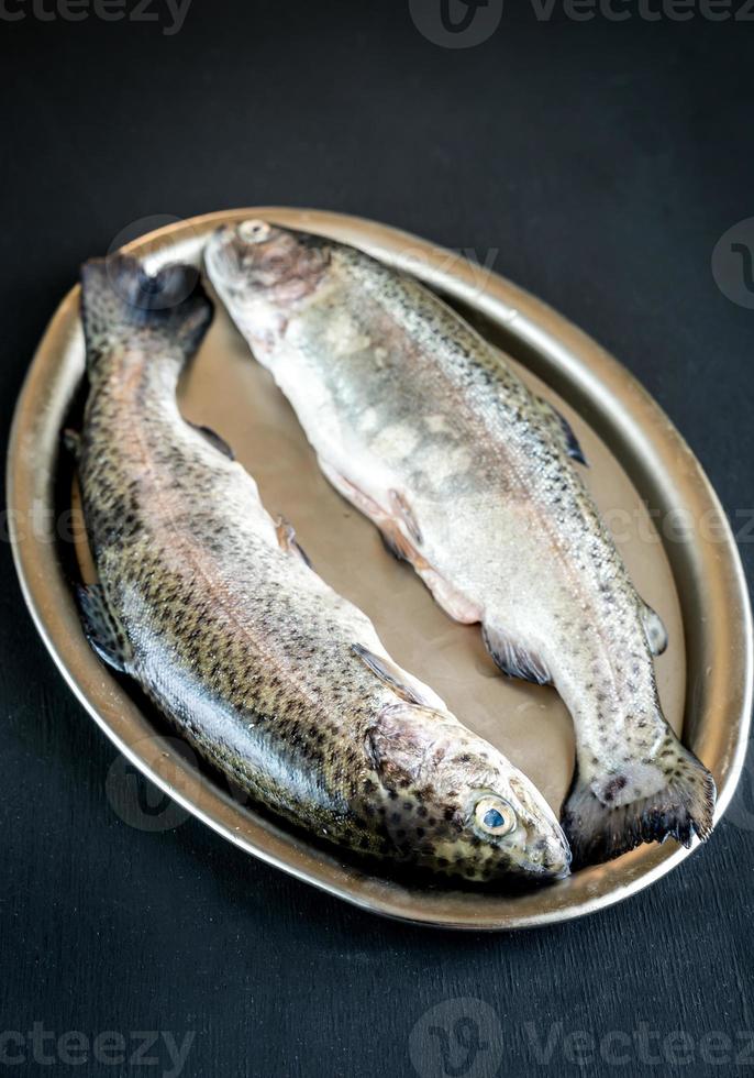 Fresh trouts in ice on the vintage metal tray photo