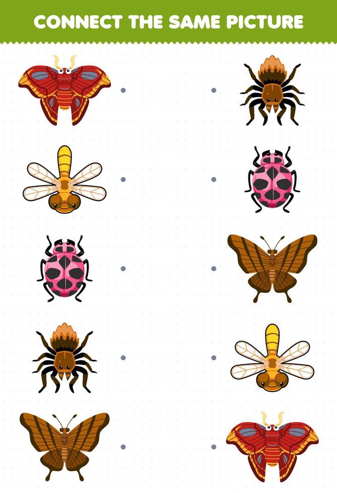 Education game for children connect the same picture of cute cartoon moth dragonfly ladybug spider butterfly printable bug worksheet vector