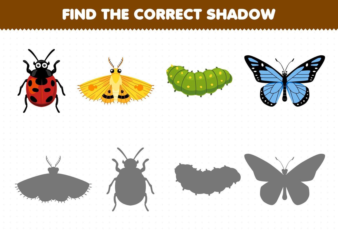 Education game for children find the correct shadow set of cute cartoon ladybug moth caterpillar butterfly printable bug worksheet vector