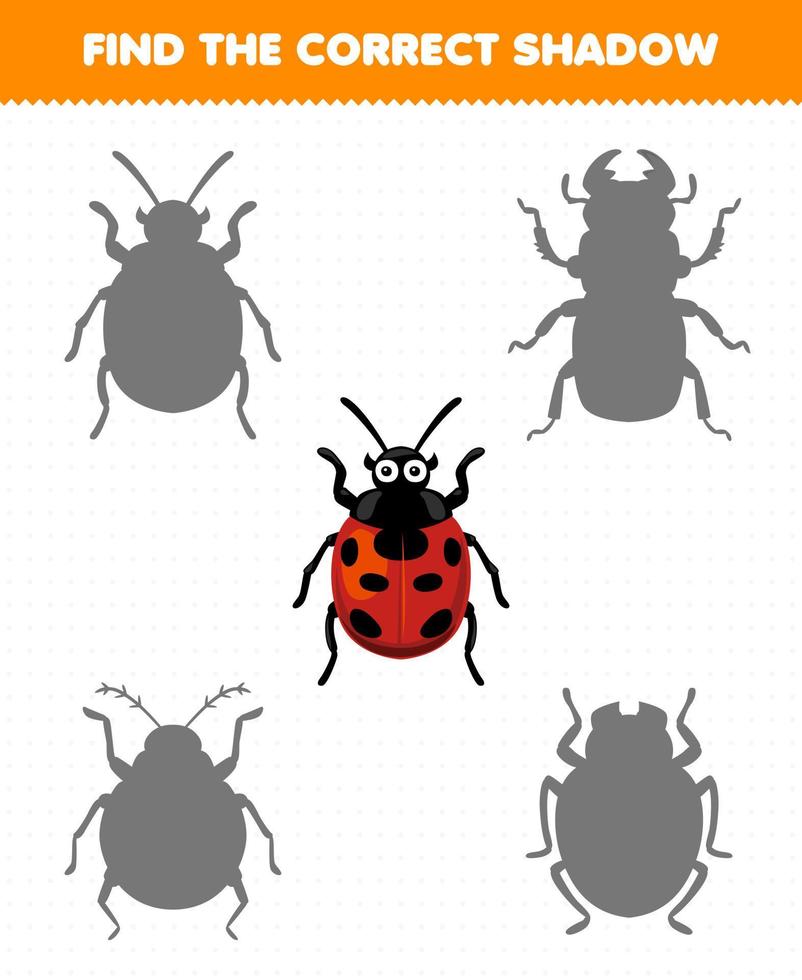 Education game for children find the correct shadow set of cute cartoon ladybug printable bug worksheet vector