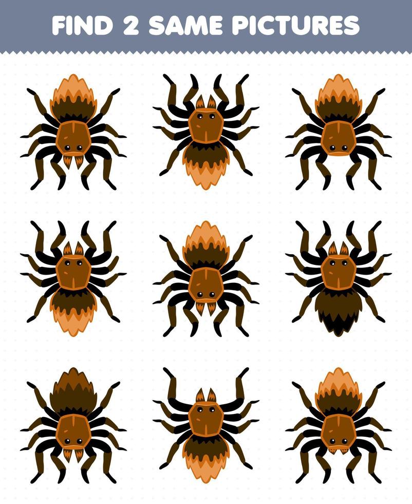 Education game for children find two same pictures of cute cartoon tarantula spider printable bug worksheet vector