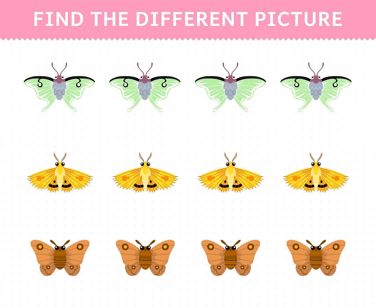 Education game for children find the different picture in each row of cute cartoon moth printable bug worksheet vector