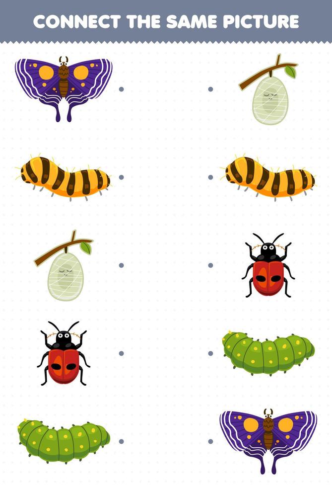 Education game for children connect the same picture of cute cartoon butterfly silkworm cocoon ladybug caterpillar printable bug worksheet vector