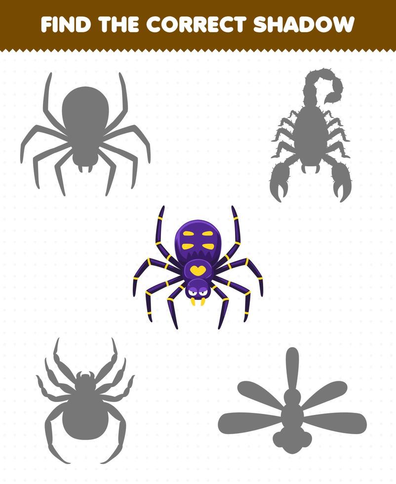 Education game for children find the correct shadow set of cute cartoon spider printable bug worksheet vector