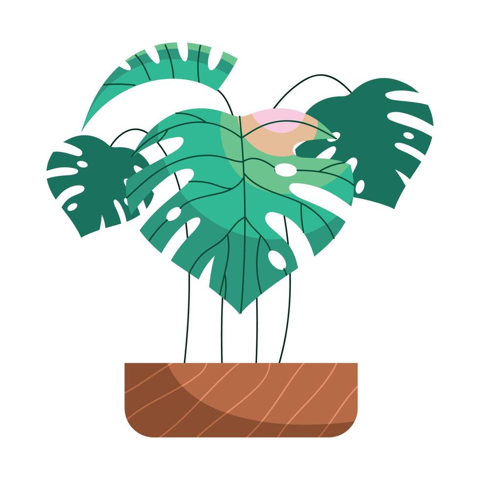 exotic houseplant in pot vector