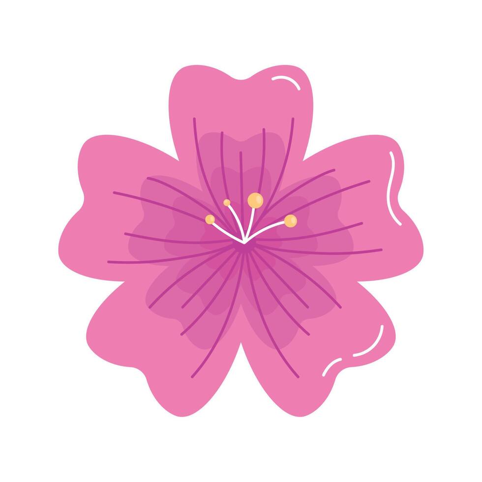 pink lotus flower vector