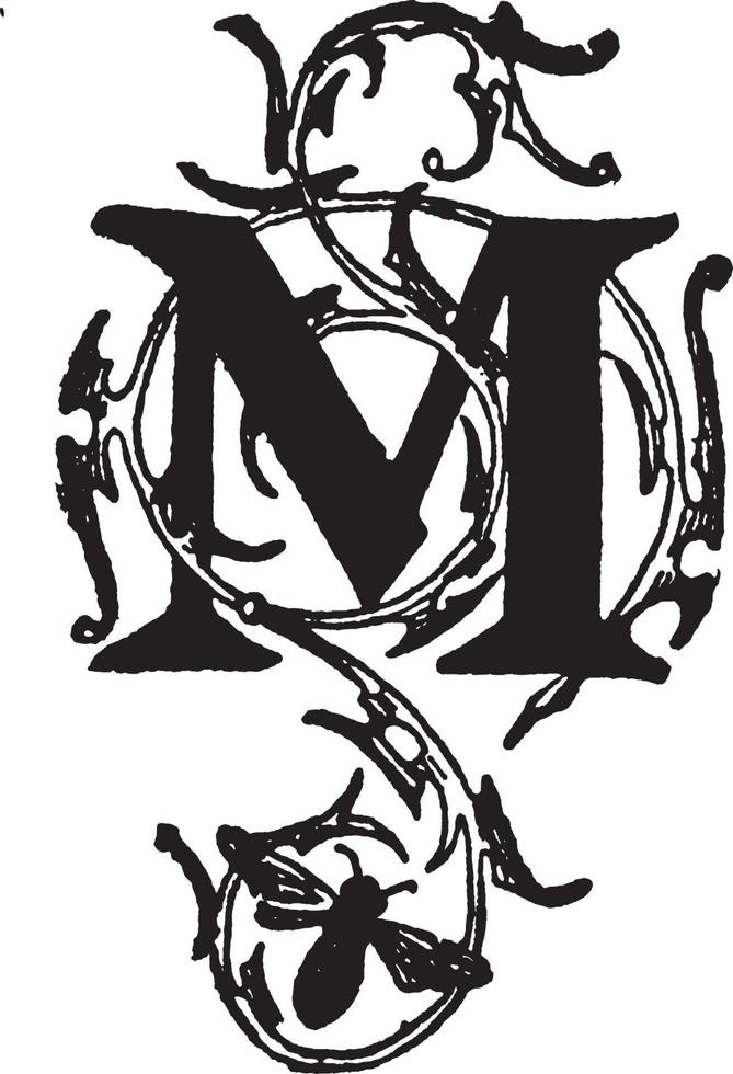 M, Floral initial, vintage illustration vector