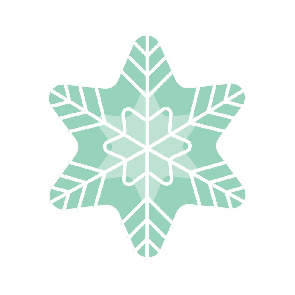 christmas star snowflake vector