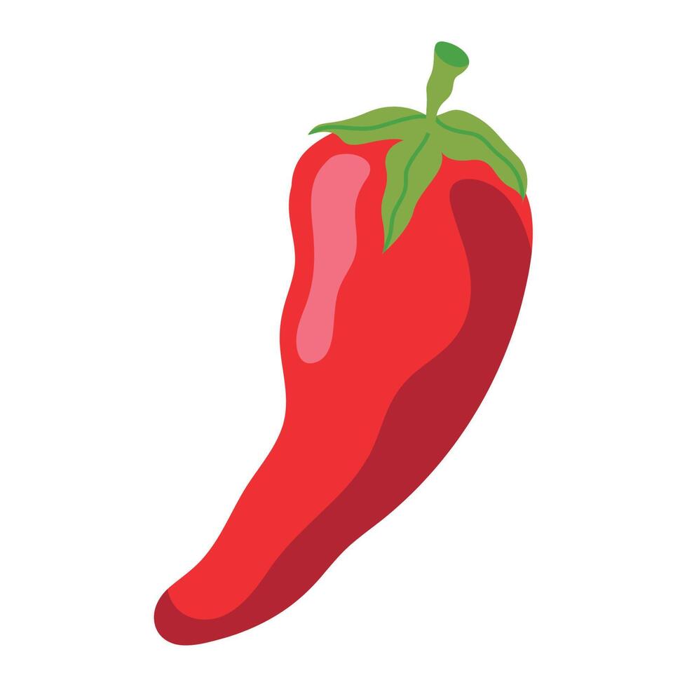 red chili pepper vegetable vector