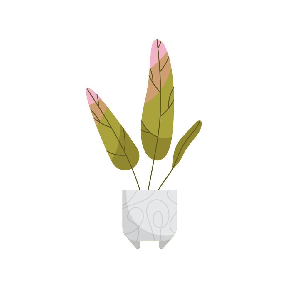 houseplant in white pot vector