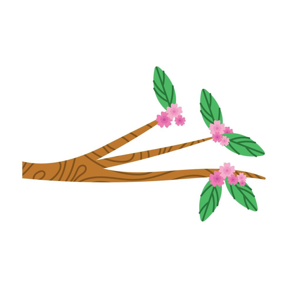 branch with pink flowers vector