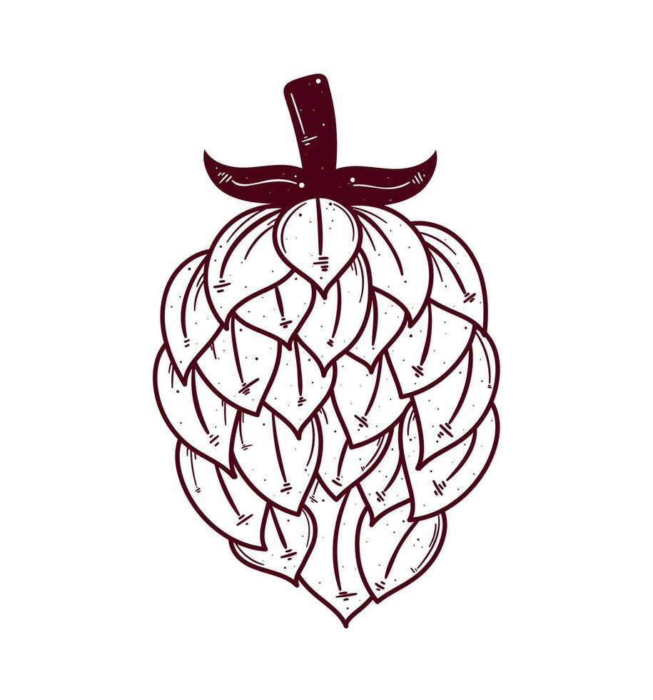 hop beer seed vector