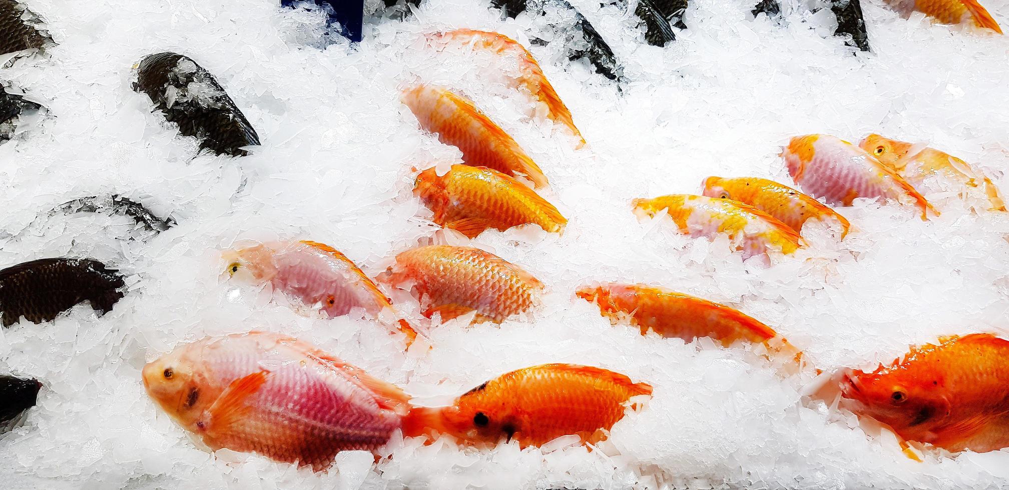 grupo de pescado granado fresco congelado en hielo en el mercado
