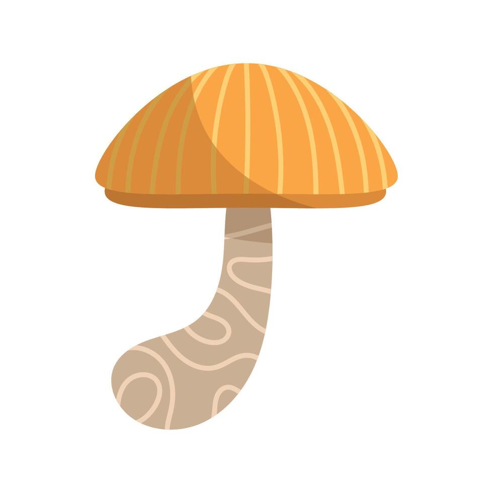 fungus plant garden nature vector