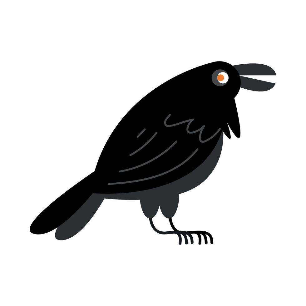 raven black bird vector