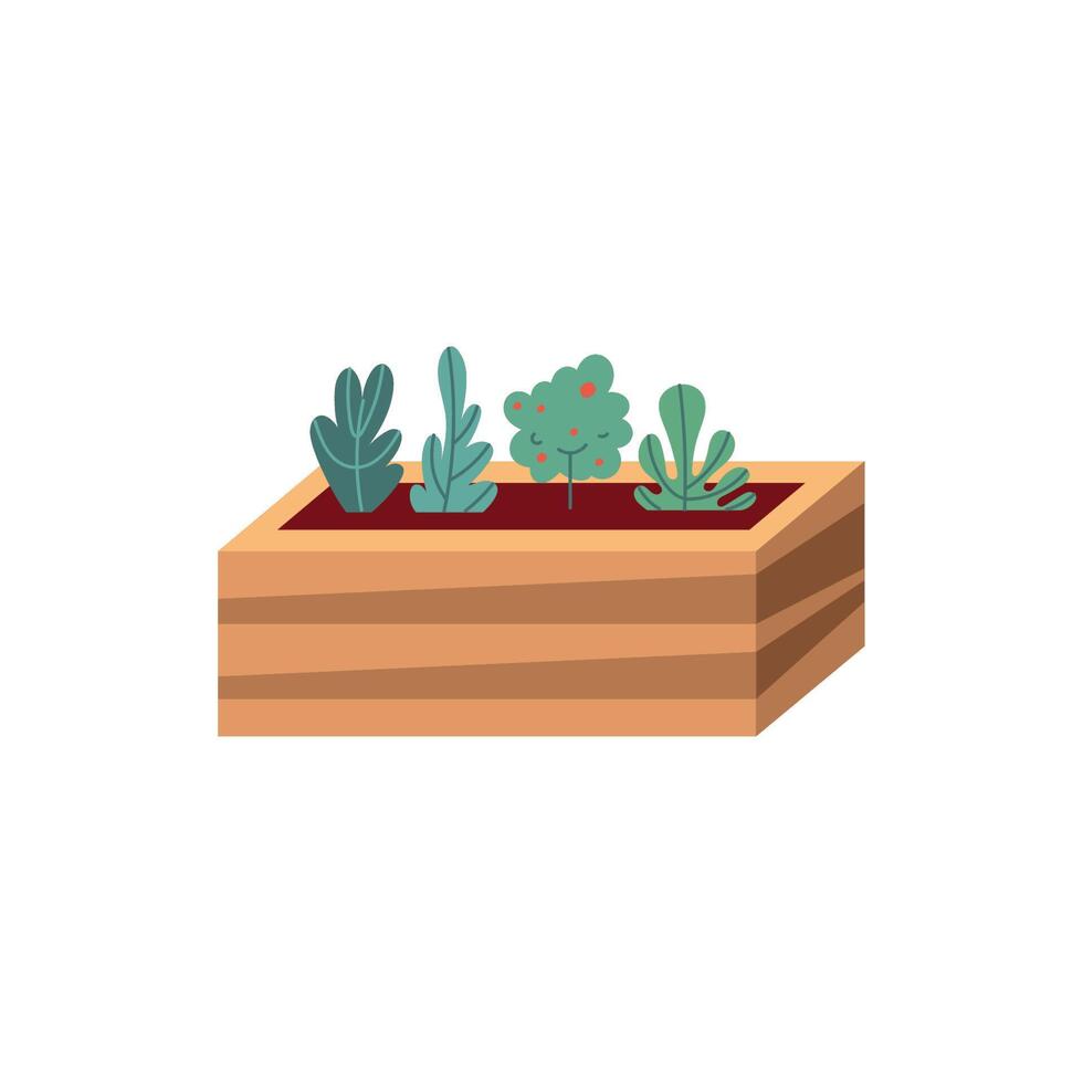 plants in wooden pot vector