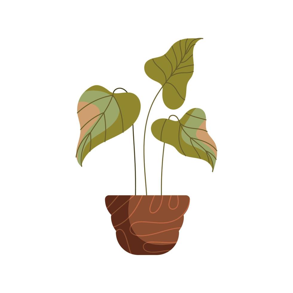 houseplant in brown pot vector