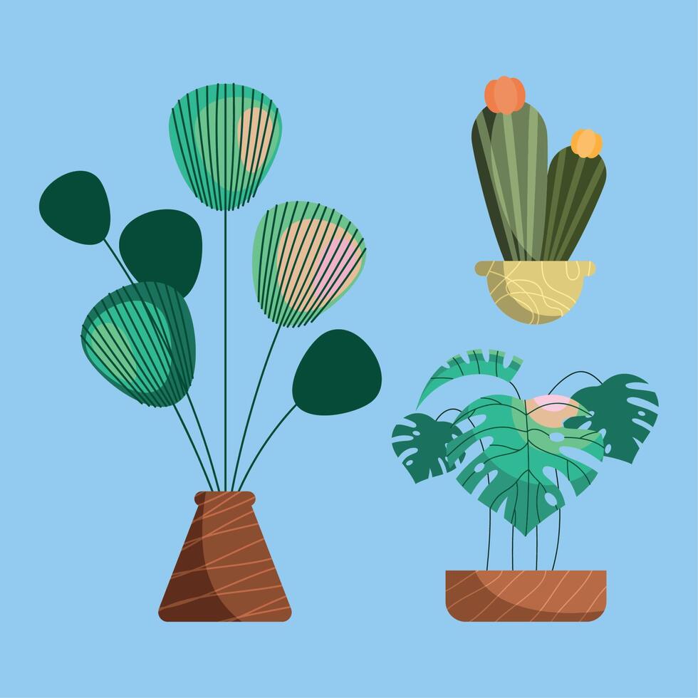 plantas de interior en macetas vector