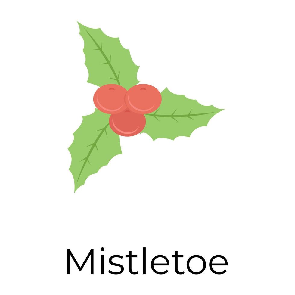 Trendy Mistletoe Concepts vector